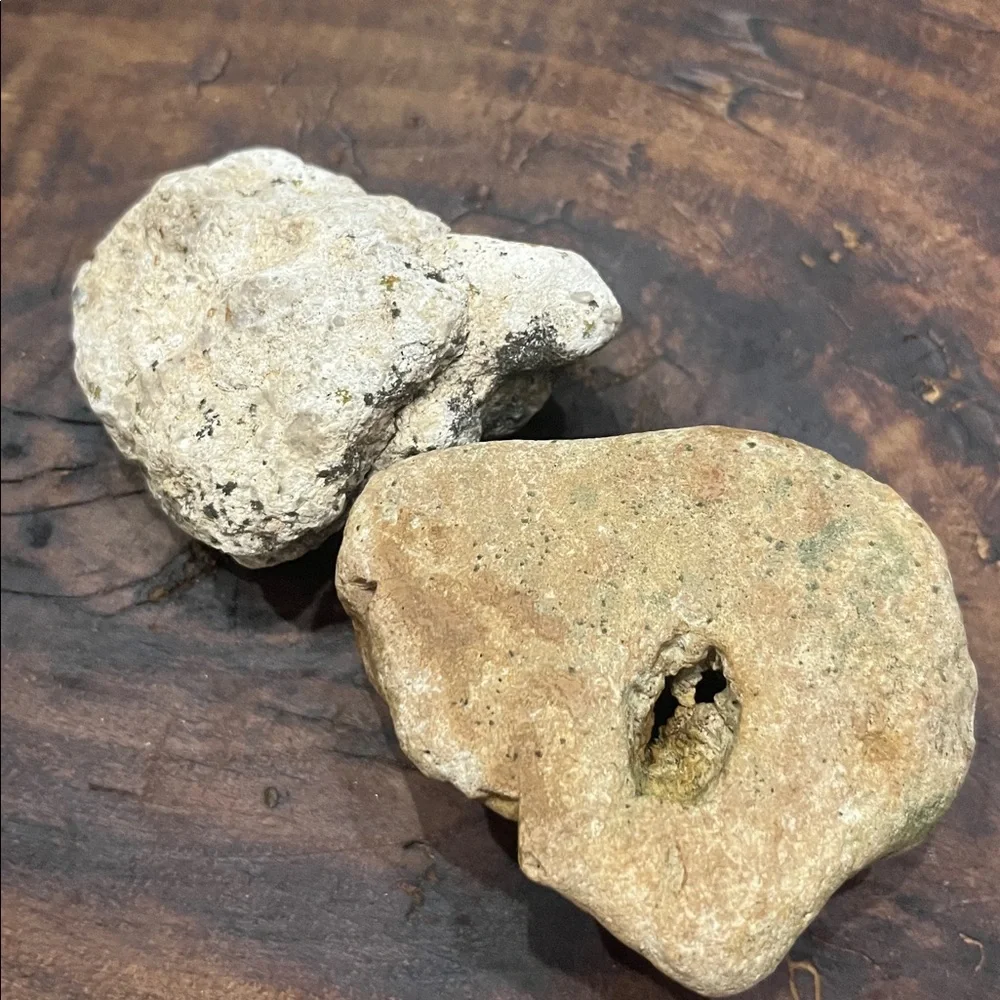 Natural Rock With Holes Found in off grid creek bed Southern TN Set of 2